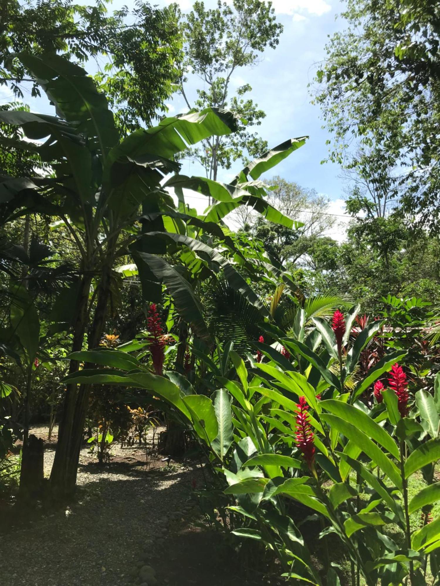 Little Yemanja Bungalow Puerto Viejo de Talamanca 외부 사진